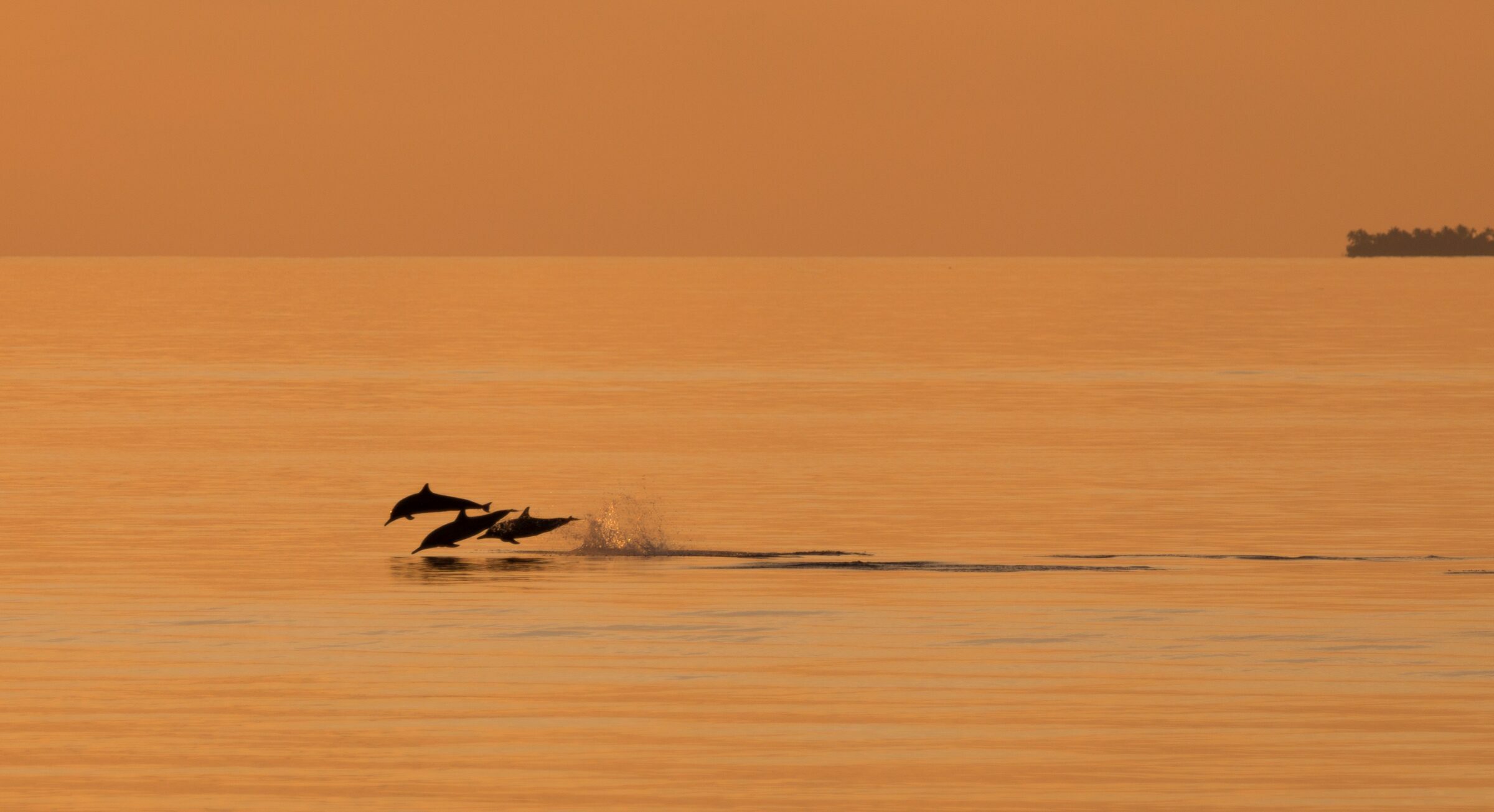Foto de  Lucas Nogueira fotografia quadros decora&ccedil;&atilde;o 49