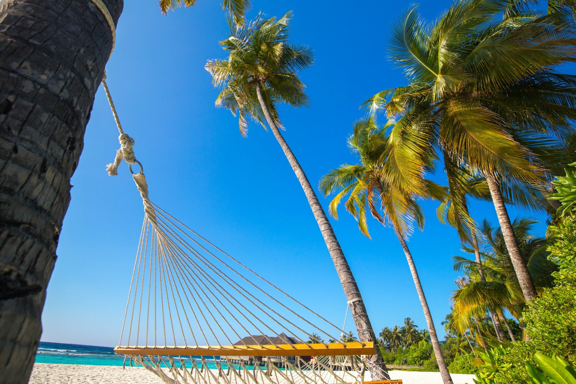 Foto de  Lucas Nogueira fotografia quadros decora&ccedil;&atilde;o 48