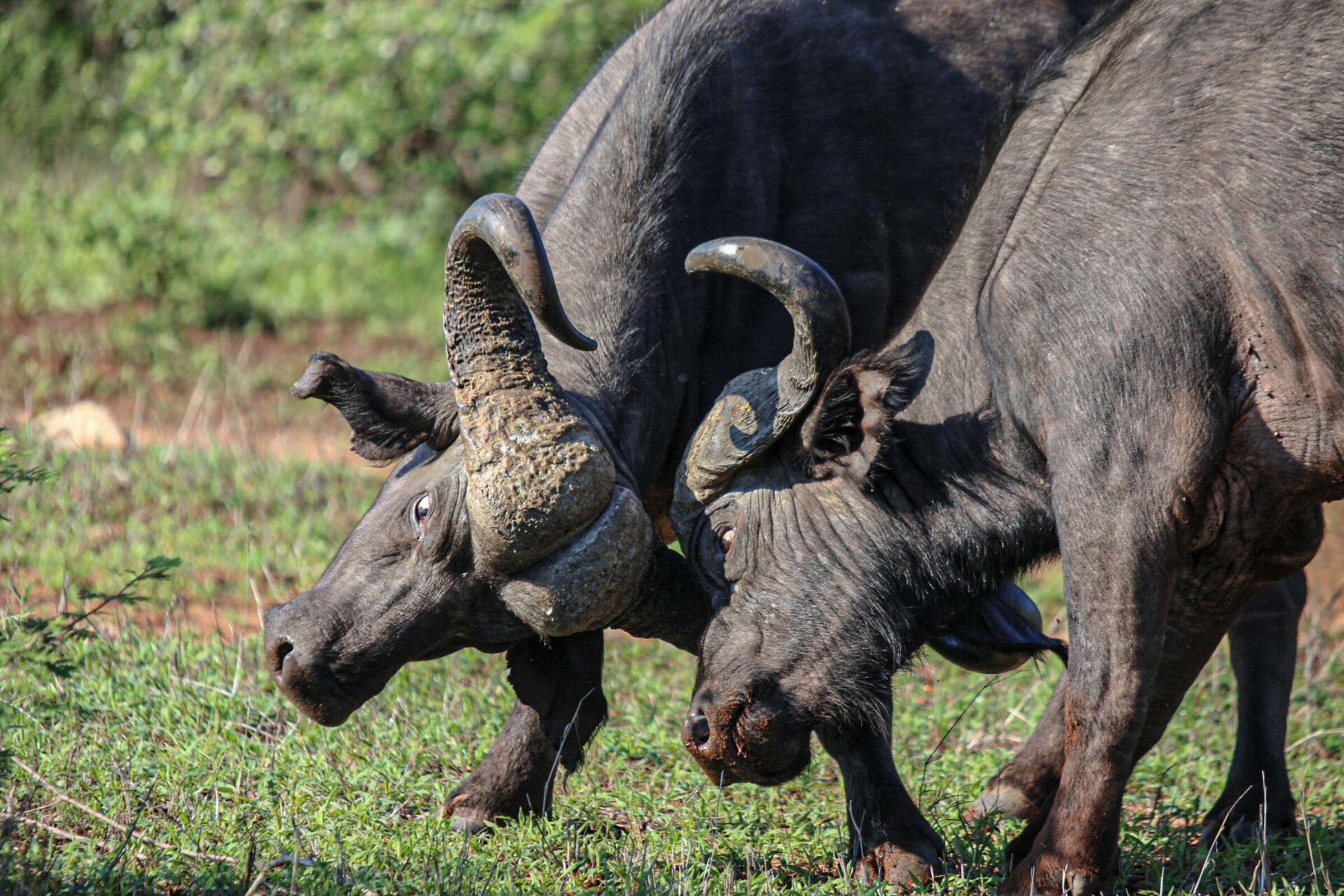 Foto de  Lucas Nogueira fotografia quadros decora&ccedil;&atilde;o 40