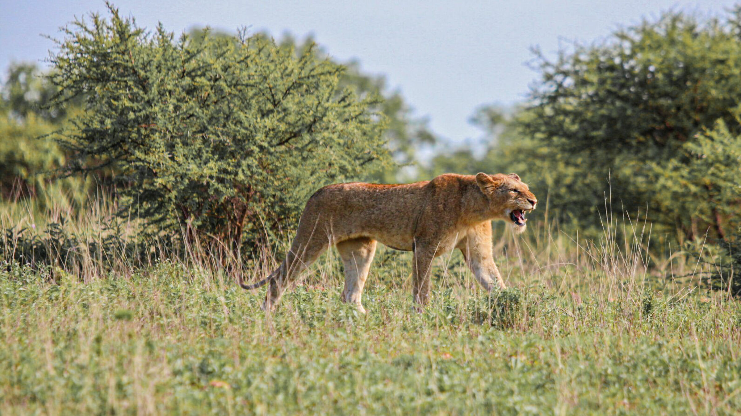 Foto de  Lucas Nogueira fotografia quadros decora&ccedil;&atilde;o 39