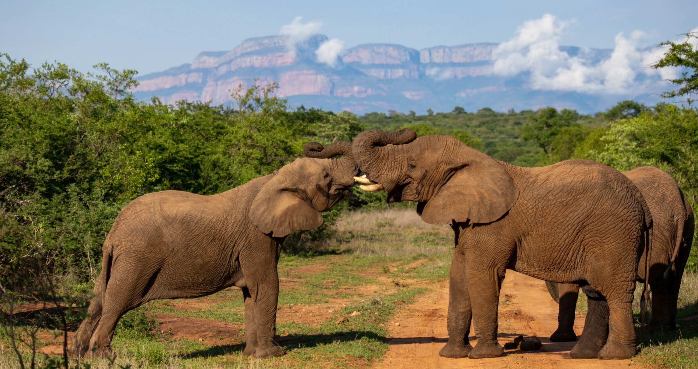 Foto de  Lucas Nogueira fotografia quadros decora&ccedil;&atilde;o 36
