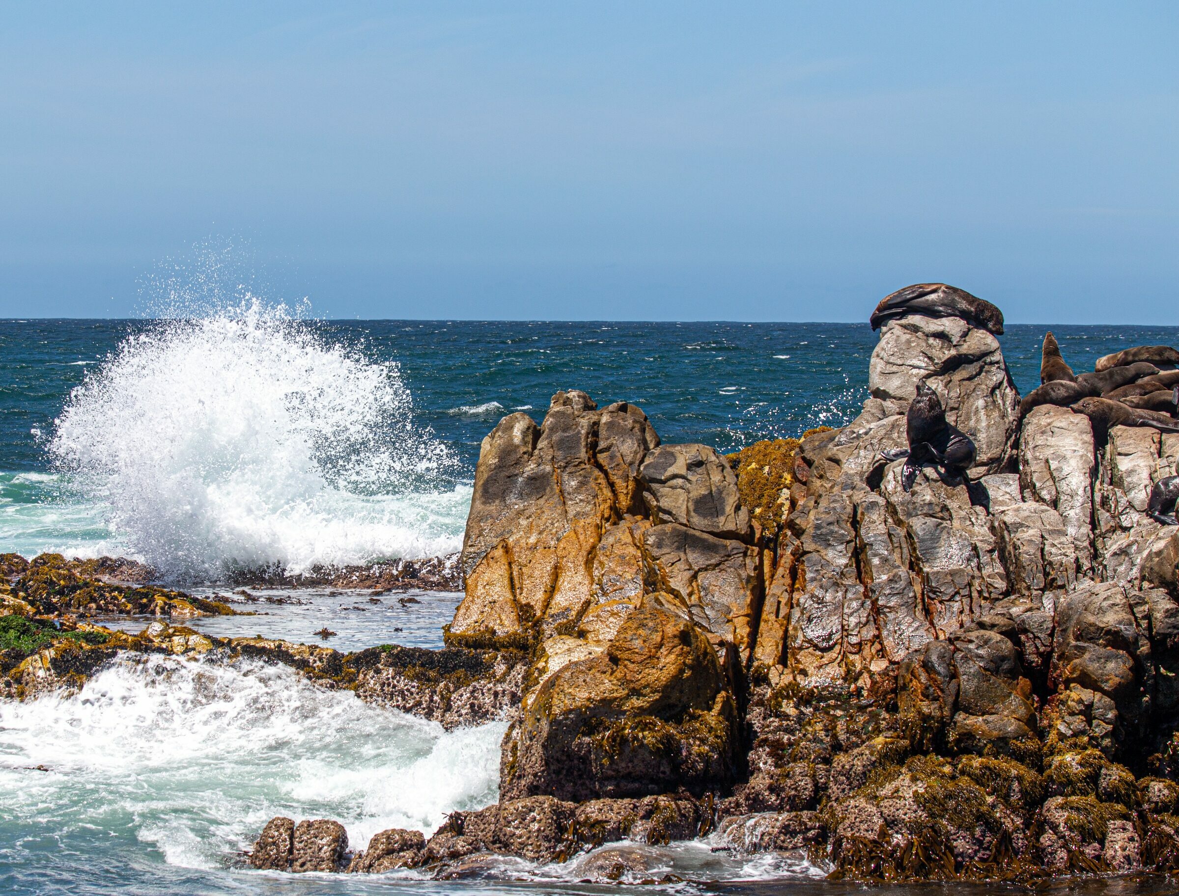 Foto de  Lucas Nogueira fotografia quadros decora&ccedil;&atilde;o 32