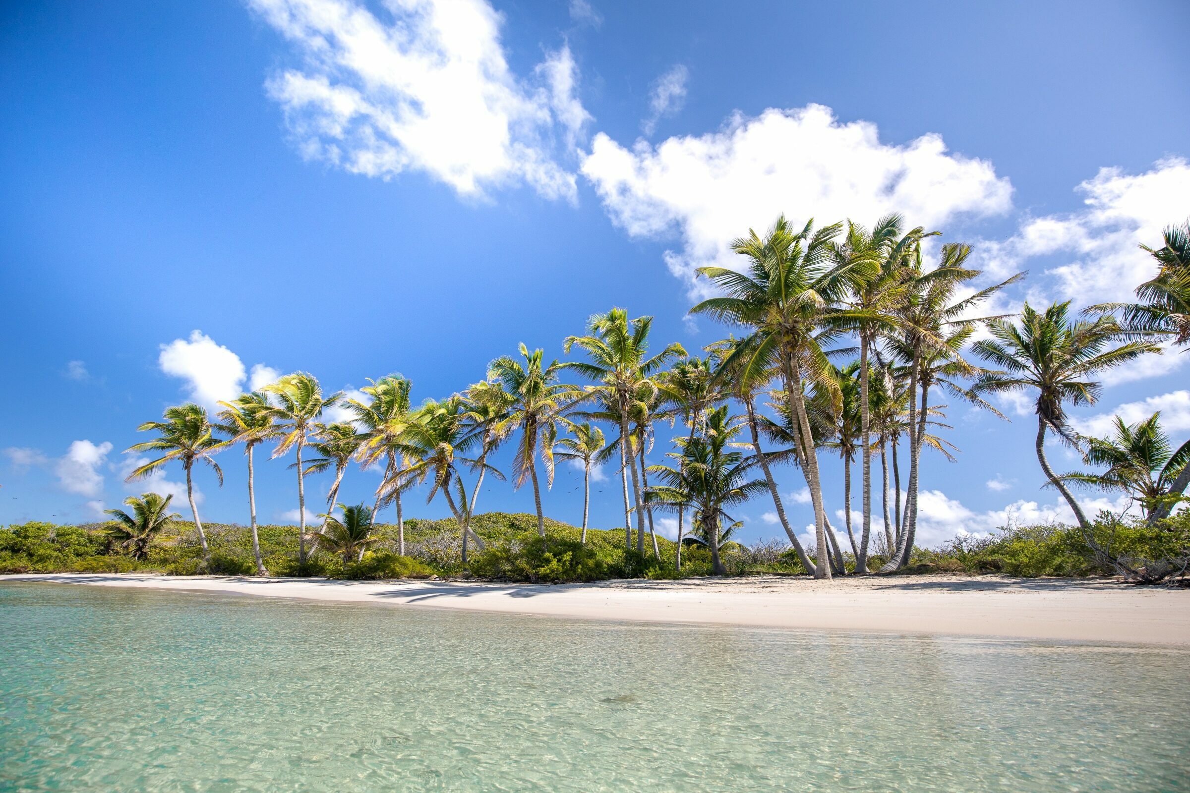 Foto de  Lucas Nogueira fotografia quadros decora&ccedil;&atilde;o 29