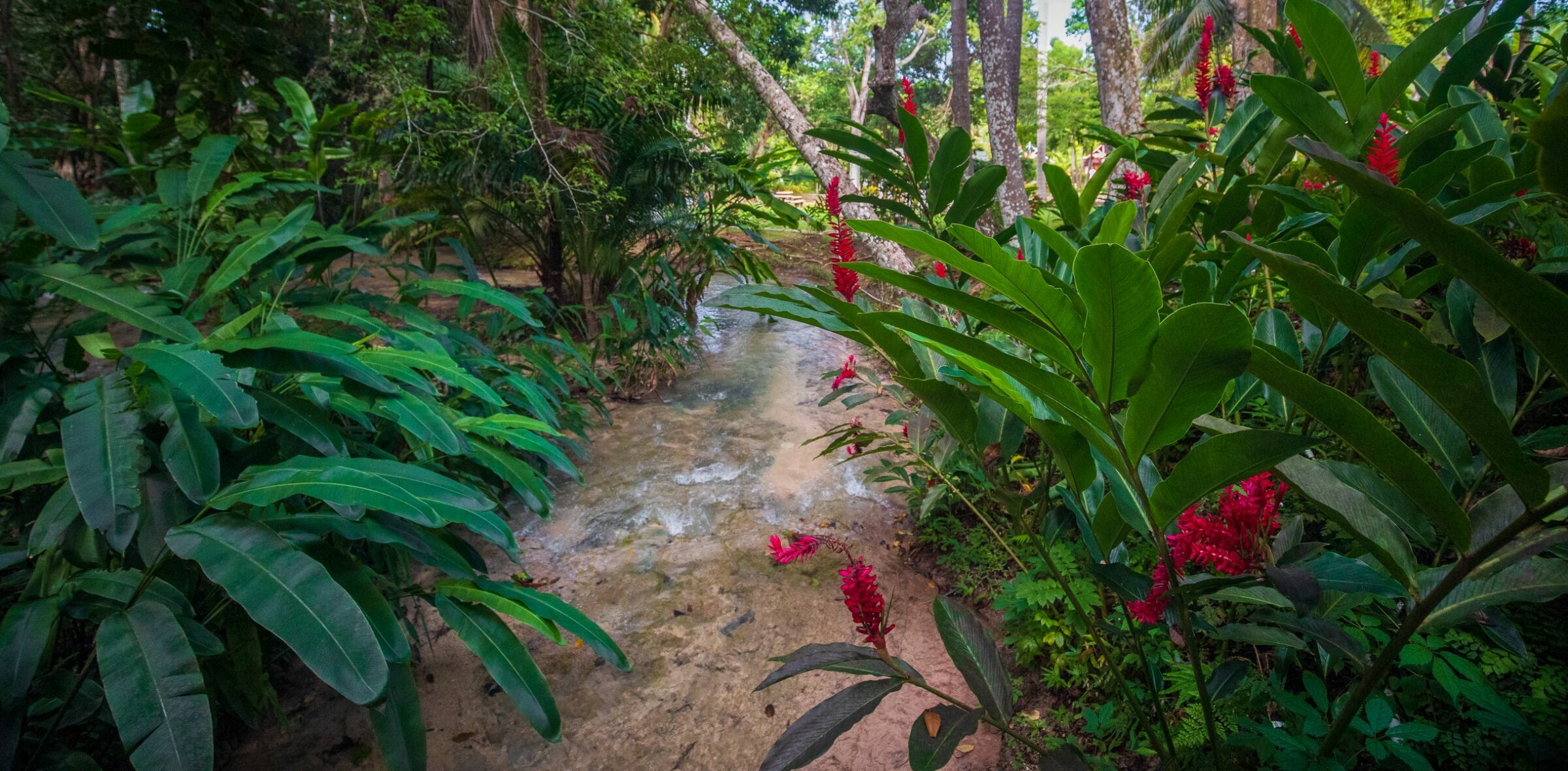 Foto de  Lucas Nogueira fotografia quadros decora&ccedil;&atilde;o 25