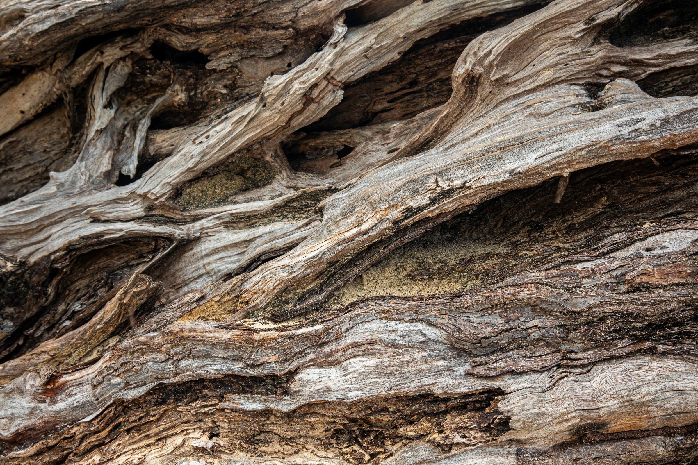 Foto de  Lucas Nogueira fotografia quadros decora&ccedil;&atilde;o 24