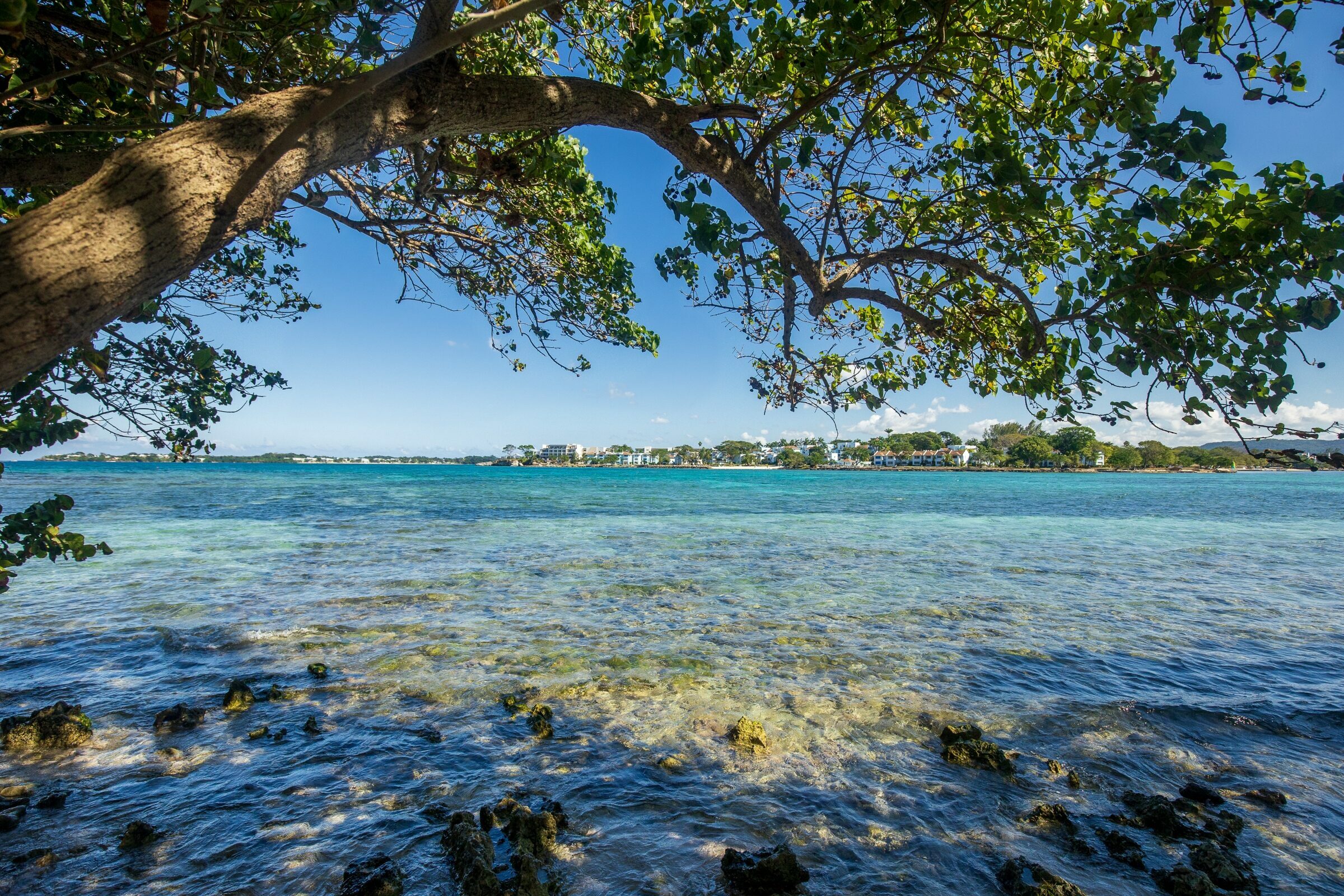 Foto de  Lucas Nogueira fotografia quadros decora&ccedil;&atilde;o 23