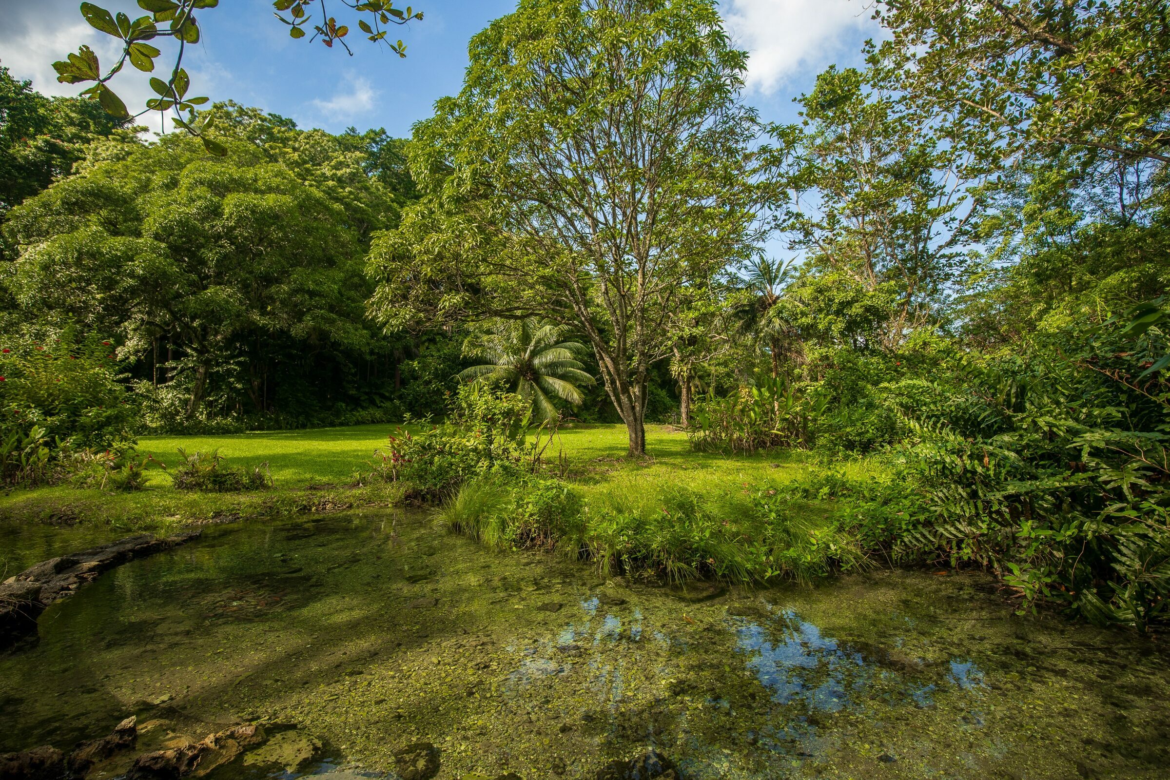 Foto de  Lucas Nogueira fotografia quadros decora&ccedil;&atilde;o 21