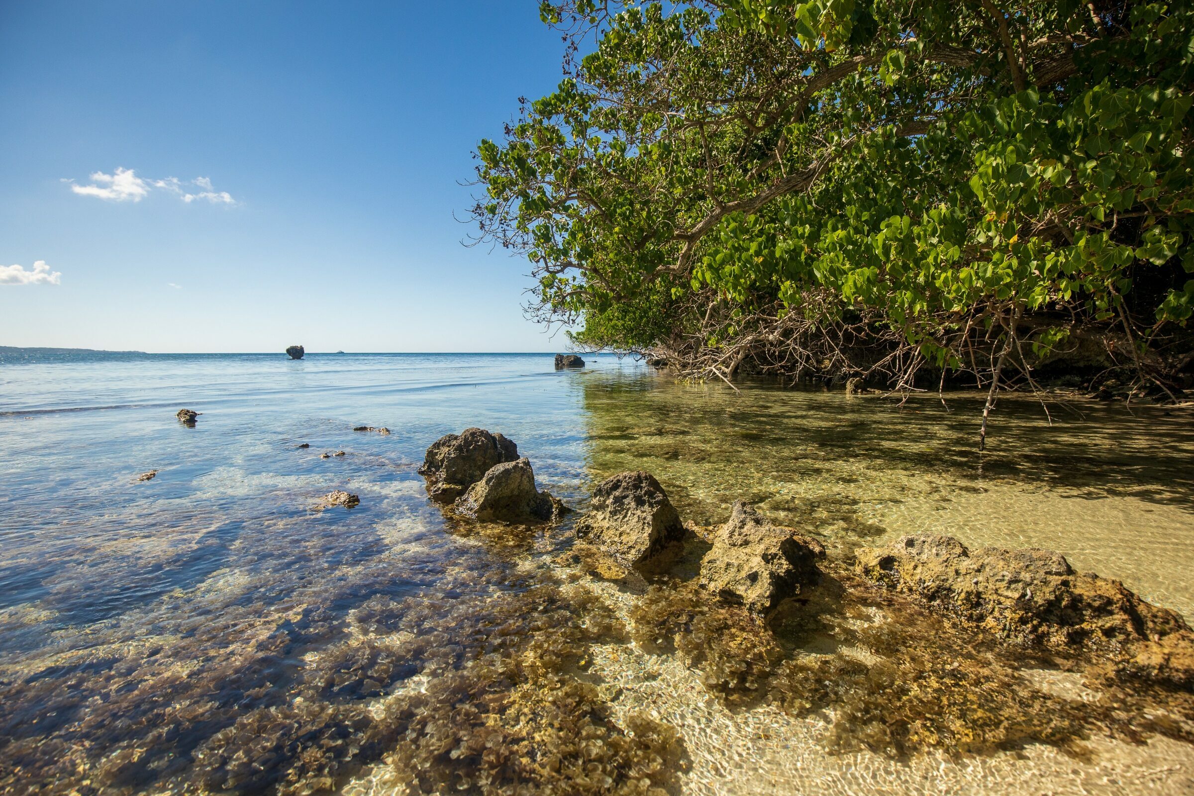 Foto de  Lucas Nogueira fotografia quadros decora&ccedil;&atilde;o 22