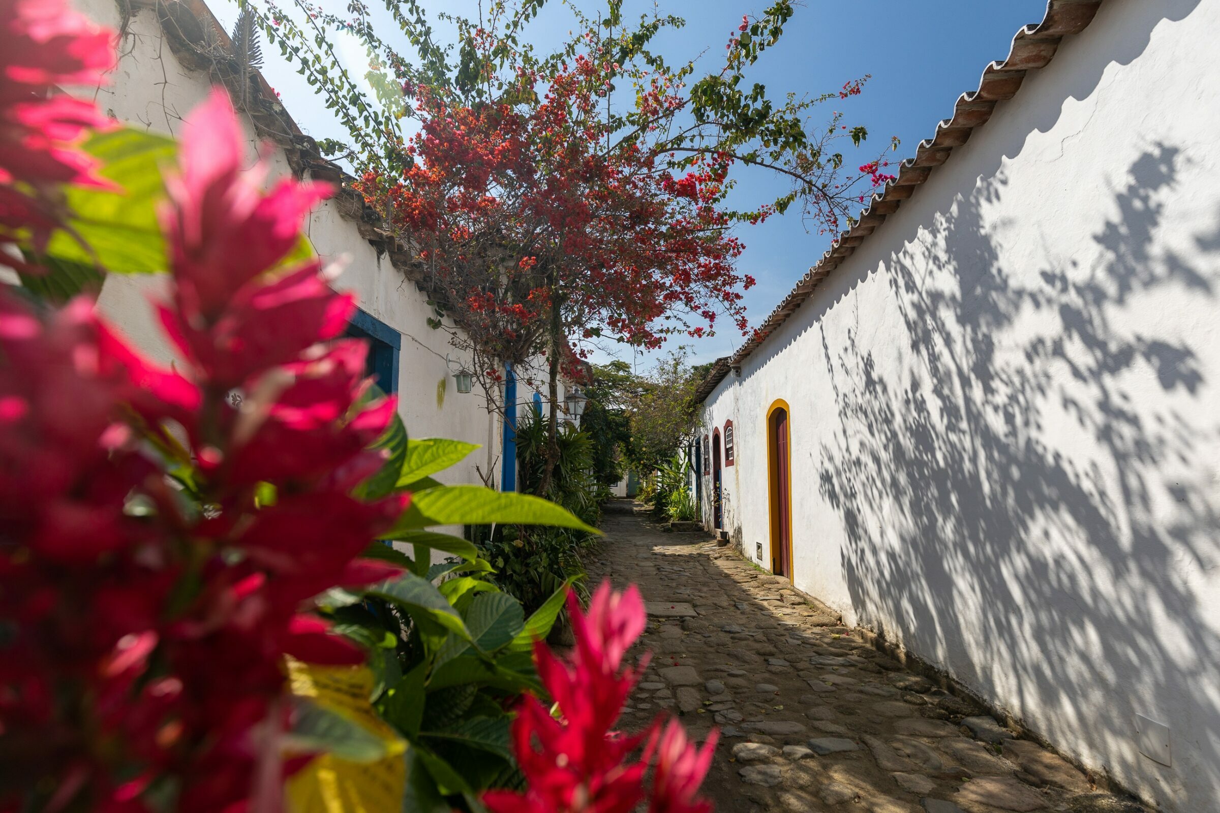 Foto de  Lucas Nogueira fotografia quadros decora&ccedil;&atilde;o 14