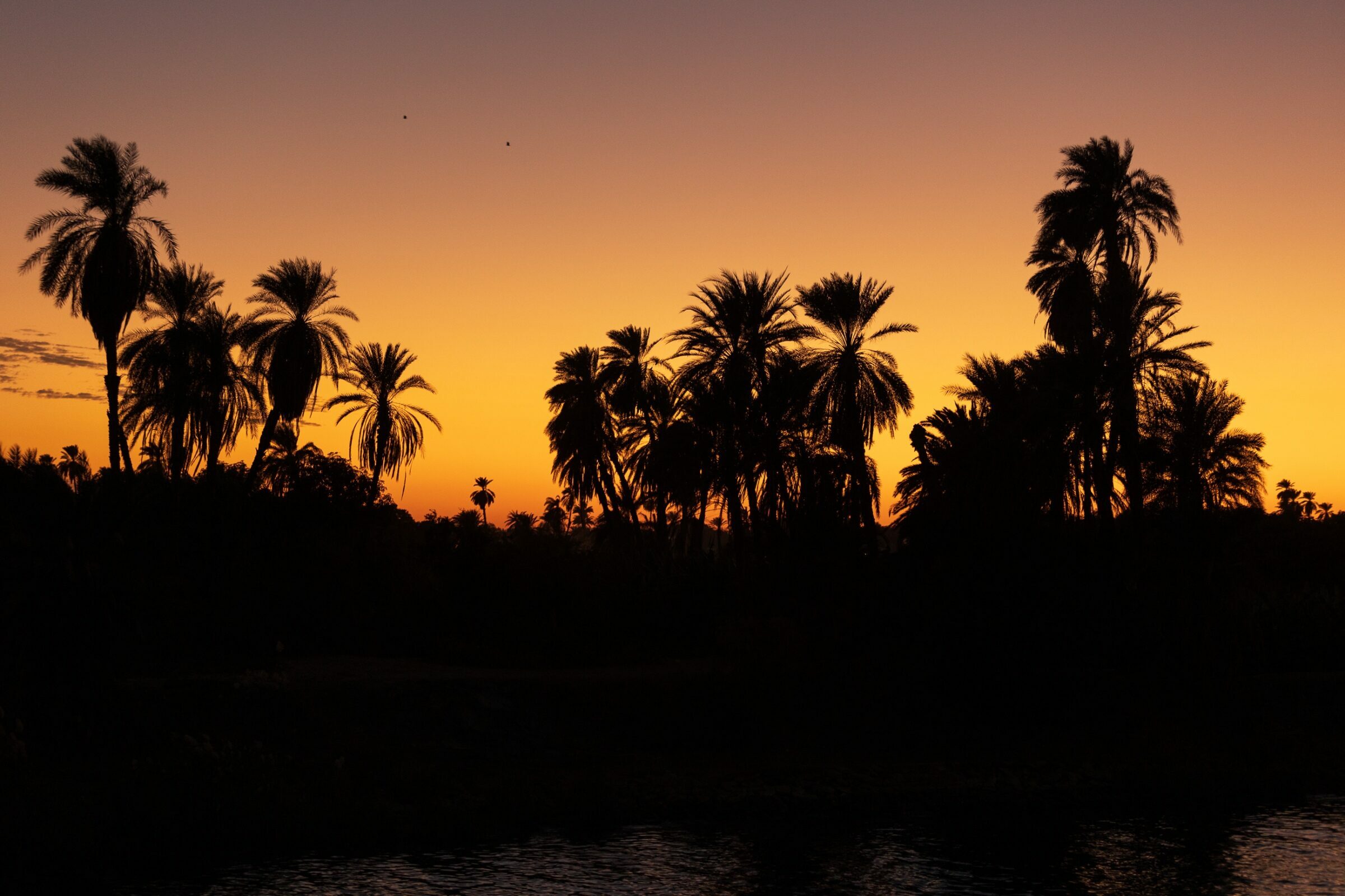 Foto de  Lucas Nogueira fotografia quadros decora&ccedil;&atilde;o 6