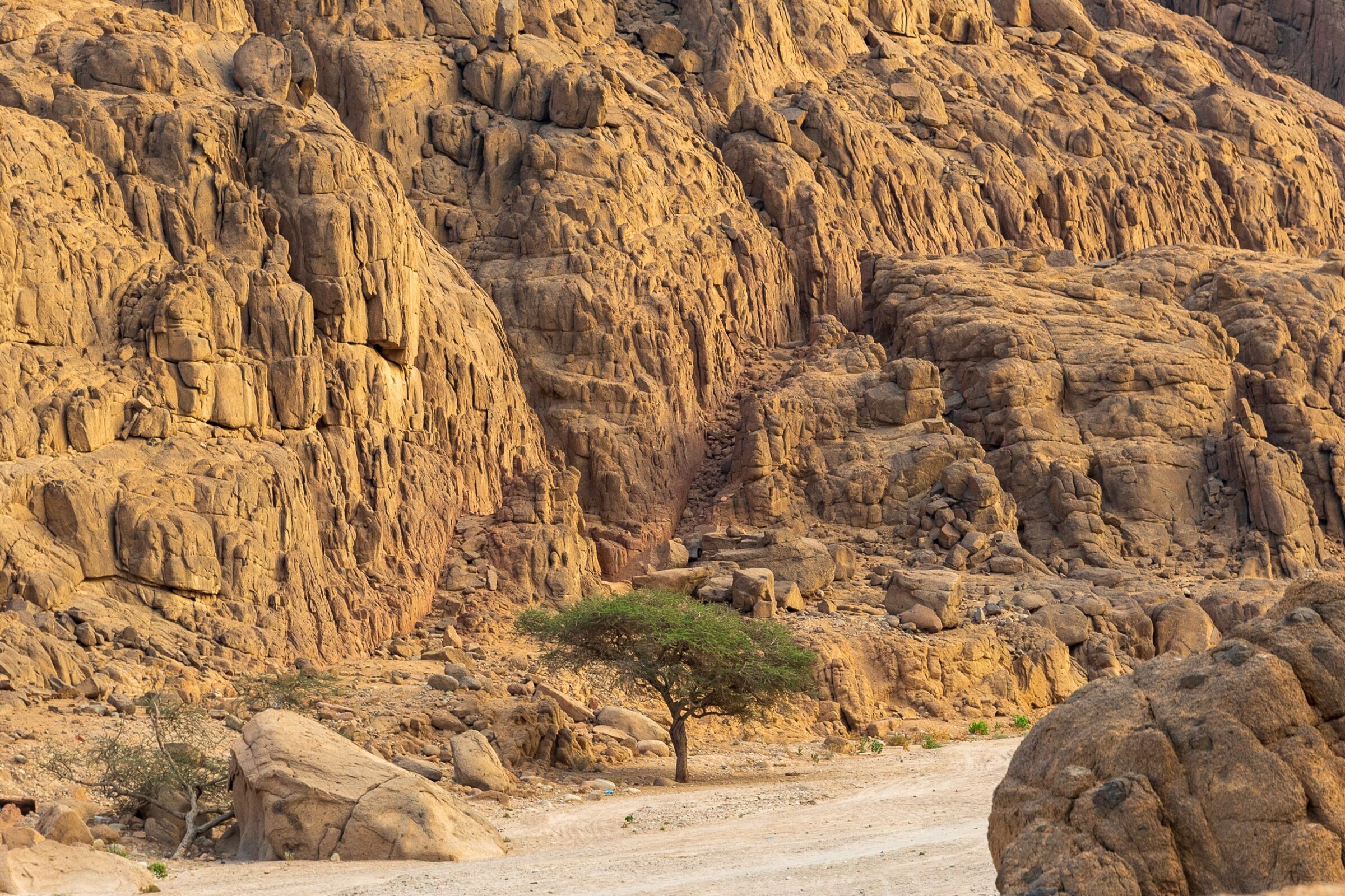 Foto de  Lucas Nogueira fotografia quadros decora&ccedil;&atilde;o 4