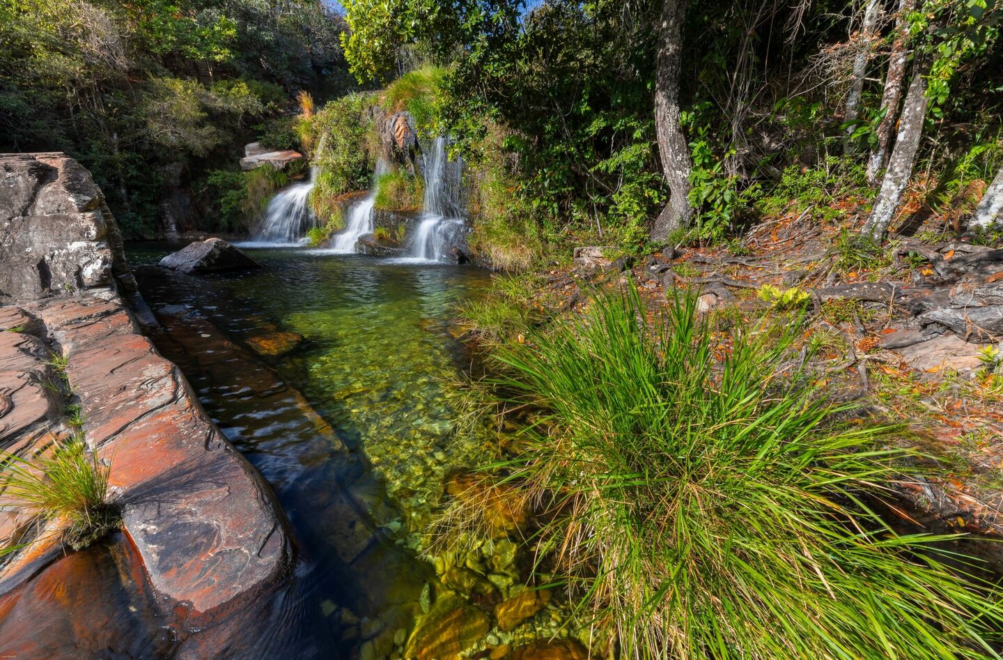 Encantos da Canastra 