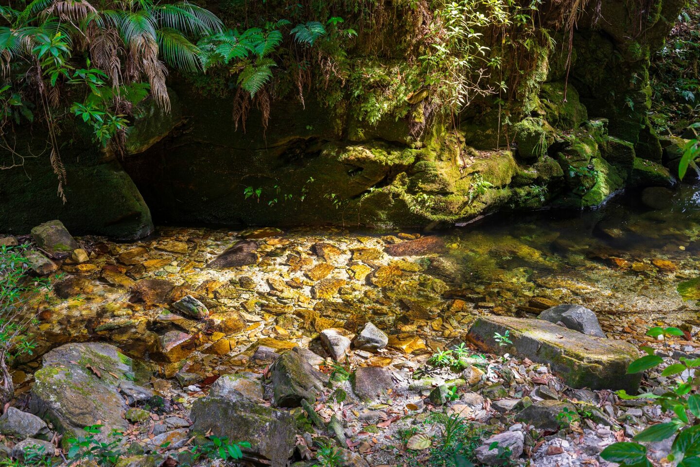 Encantos da Canastra  Encantos da Canastra